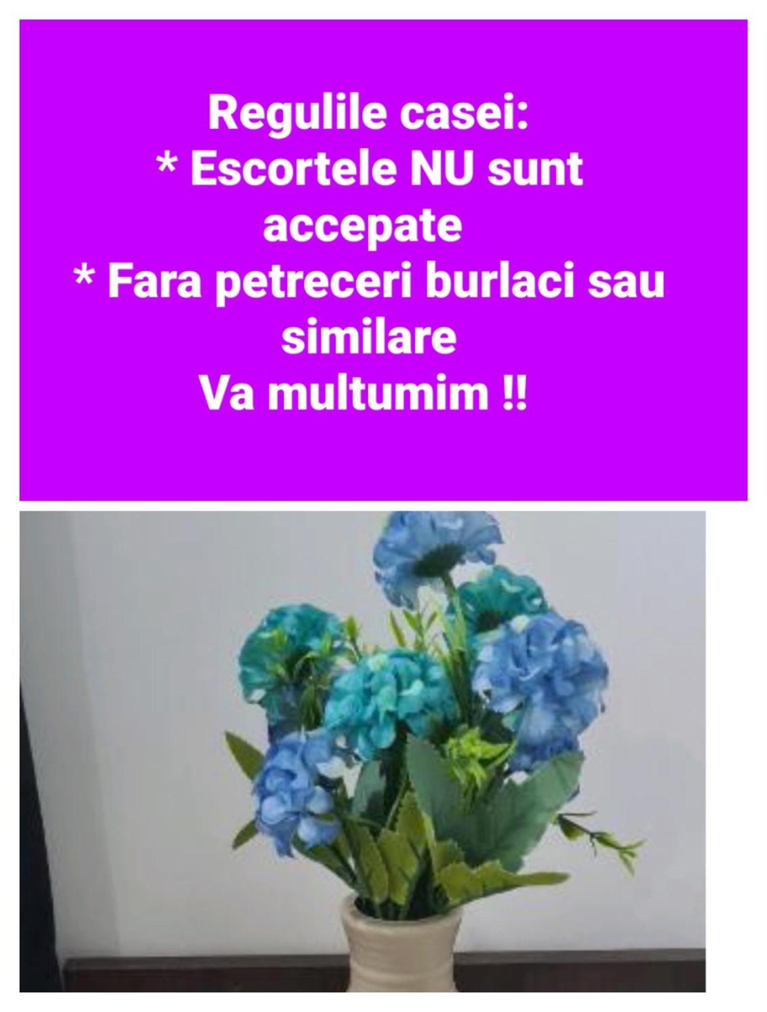 Seby Studio Констанца Экстерьер фото